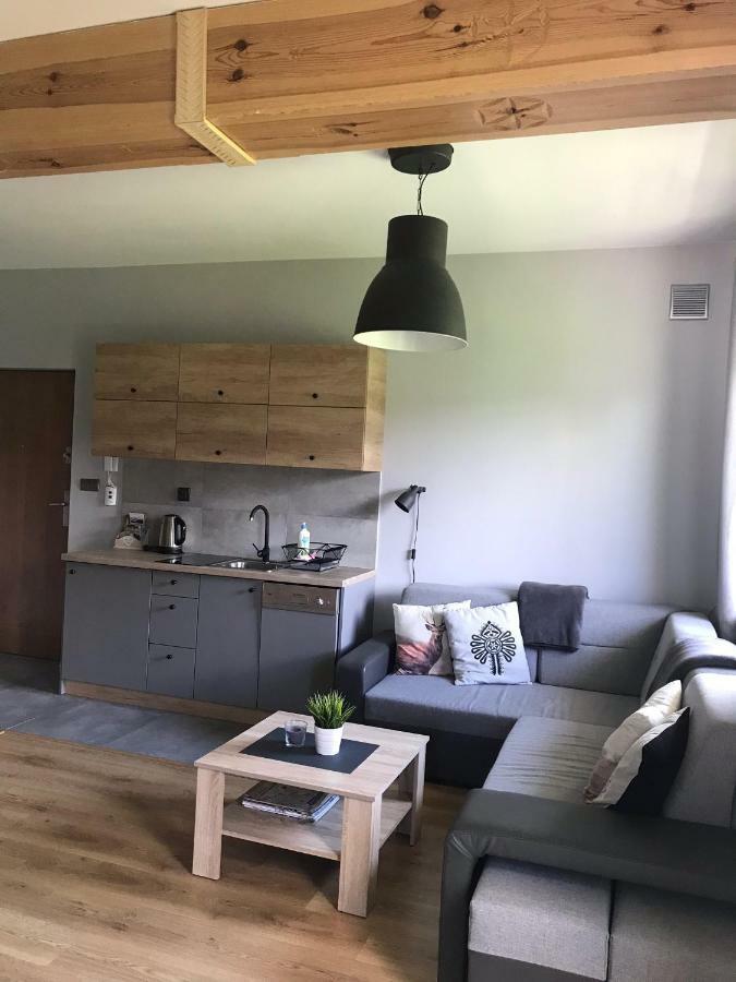 Apartamentypodzakopanem.Pl Murzasichle Exterior foto